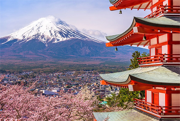 Mudanza de Argentina a Japón